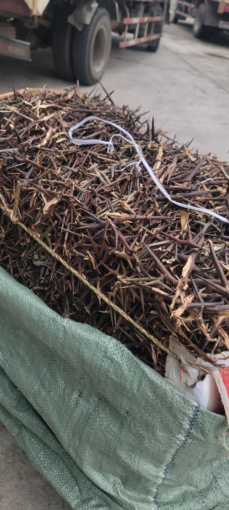 【皂角刺】【产地直销】【品质保证】量大从优