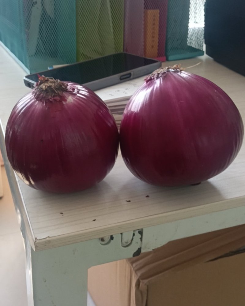 去皮紫洋葱紫皮洋葱新鲜圆葱农家应季自种蔬菜