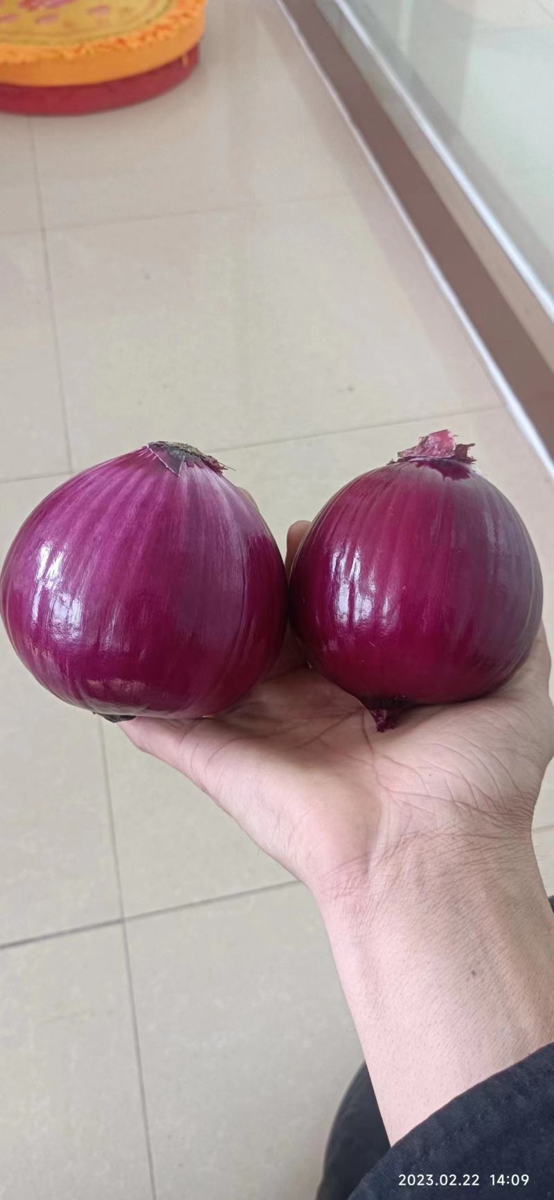 去皮紫洋葱紫皮洋葱新鲜圆葱农家应季自种蔬菜