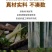 糯米新鲜竹笋免洗无辣加热即食下饭菜半成品家常菜，一手货源