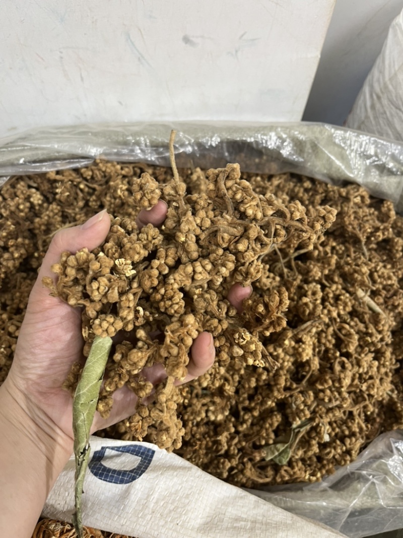 枇杷花干枇杷花可泡汤泡水新货产地货