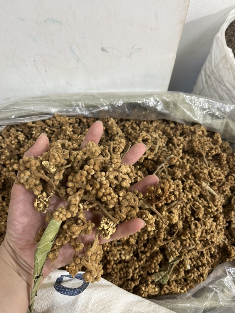 枇杷花干枇杷花可泡汤泡水新货产地货