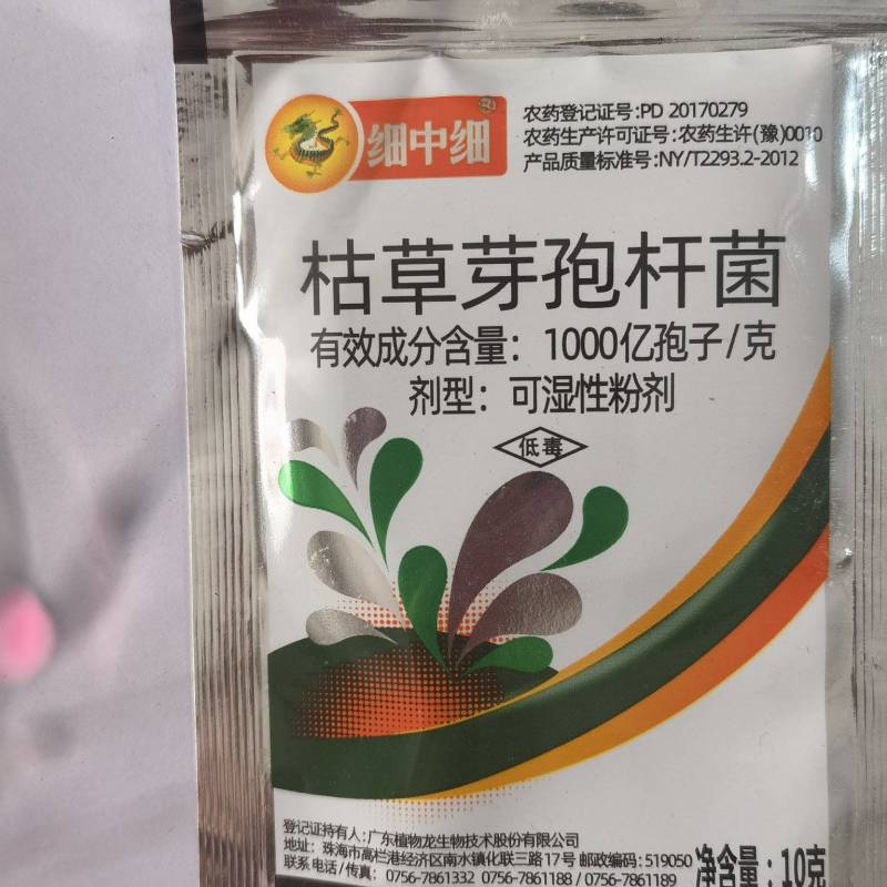 细中细枯草芽孢杆菌微生物菌剂大白菜软腐病