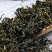 【长白山发货】药用蒲公英500克袋装无硫蒲公英包邮