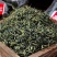 【长白山发货】药用蒲公英500克袋装无硫蒲公英包邮