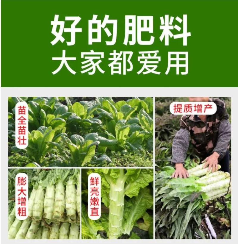 莴苣防苔嫩粗长莴苣莴笋专用叶面肥防抽苔拉长增粗膨大控旺