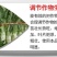 莴苣三控粗嫩直莴苣莴笋专用拉直膨大素控旺增粗防抽苔矮壮