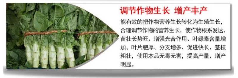 莴苣三控粗嫩直莴苣莴笋专用拉直膨大素控旺增粗防抽苔矮壮