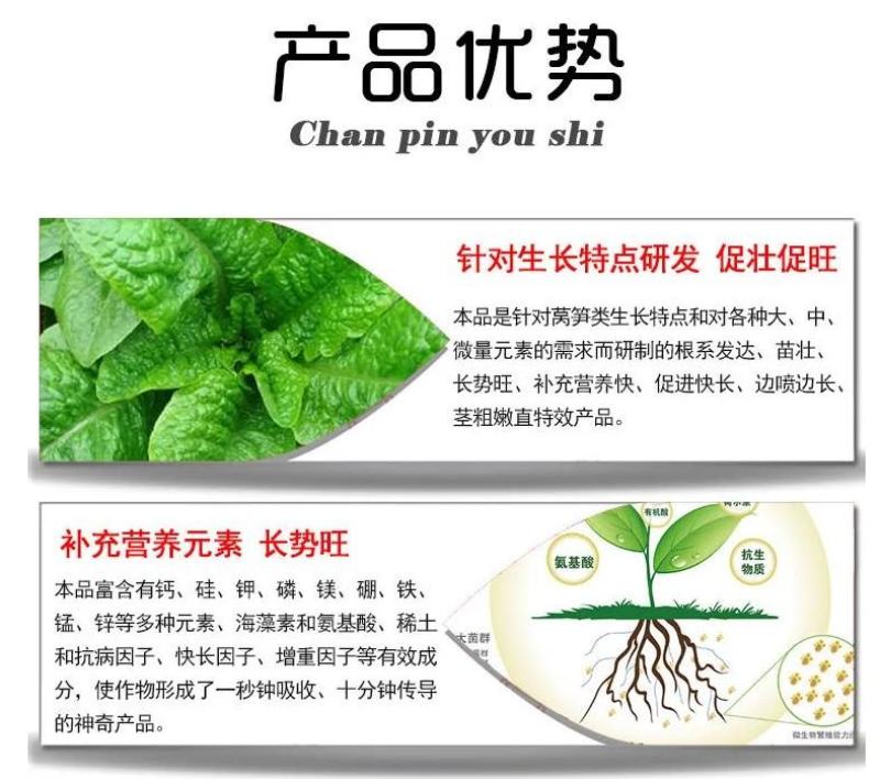 莴苣三控粗嫩直莴苣莴笋专用拉直膨大素控旺增粗防抽苔矮壮