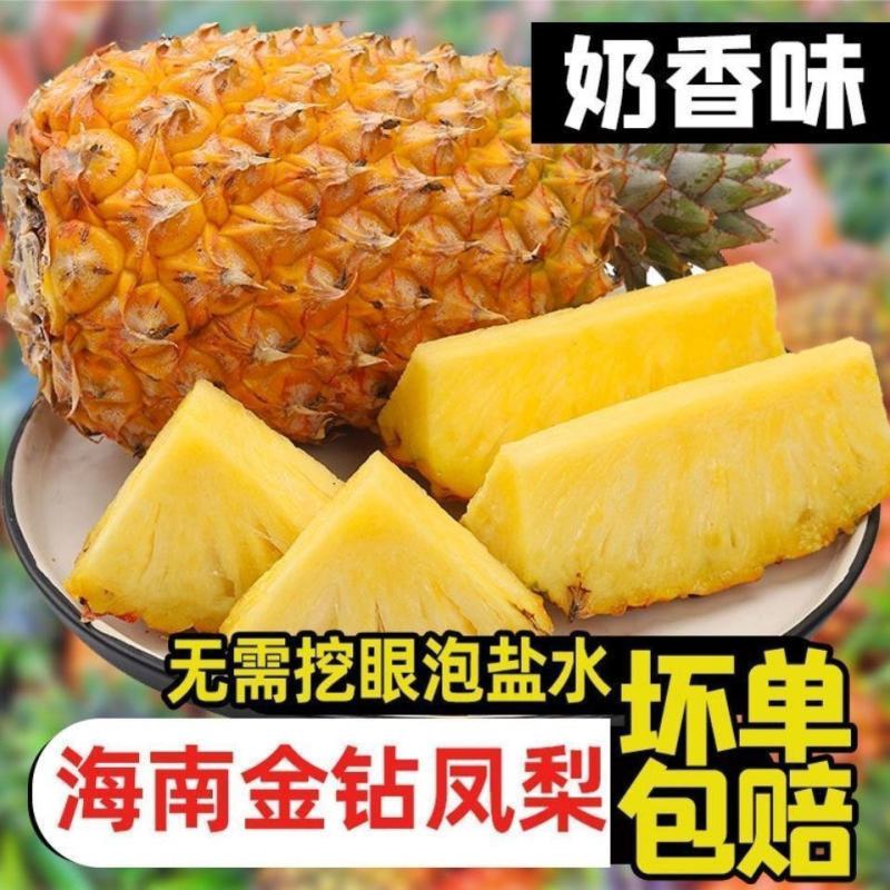 【海南金钻凤梨】一件代发，对接电商微商直播平台，产地直供