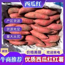 【优质】山东西瓜红红薯产地直发货源充足保质保量