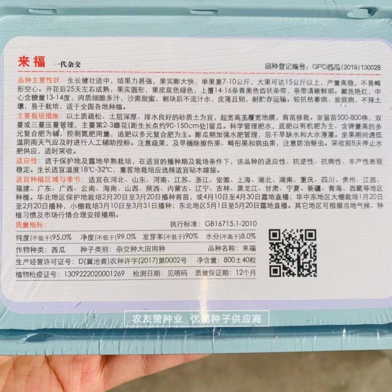 京欣类型西瓜种子早熟大果耐裂耐低温糖度高西瓜种籽皮薄且韧