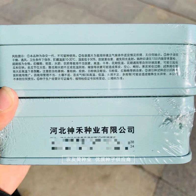 京欣类型西瓜种子早熟大果耐裂耐低温糖度高西瓜种籽皮薄且韧
