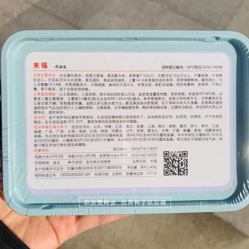 京欣类型西瓜种子早熟大果耐裂耐低温糖度高西瓜种籽皮薄且韧