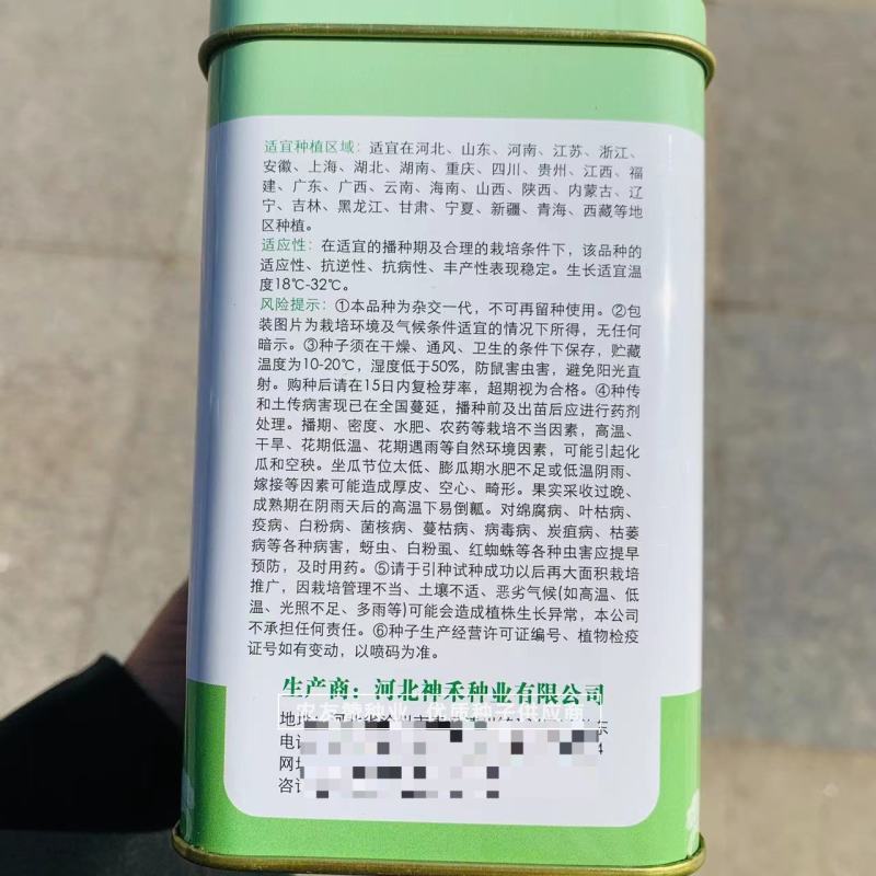 短椭圆形西瓜种子高圆高糖抗病甜王西瓜种子糖度高，抗裂耐运