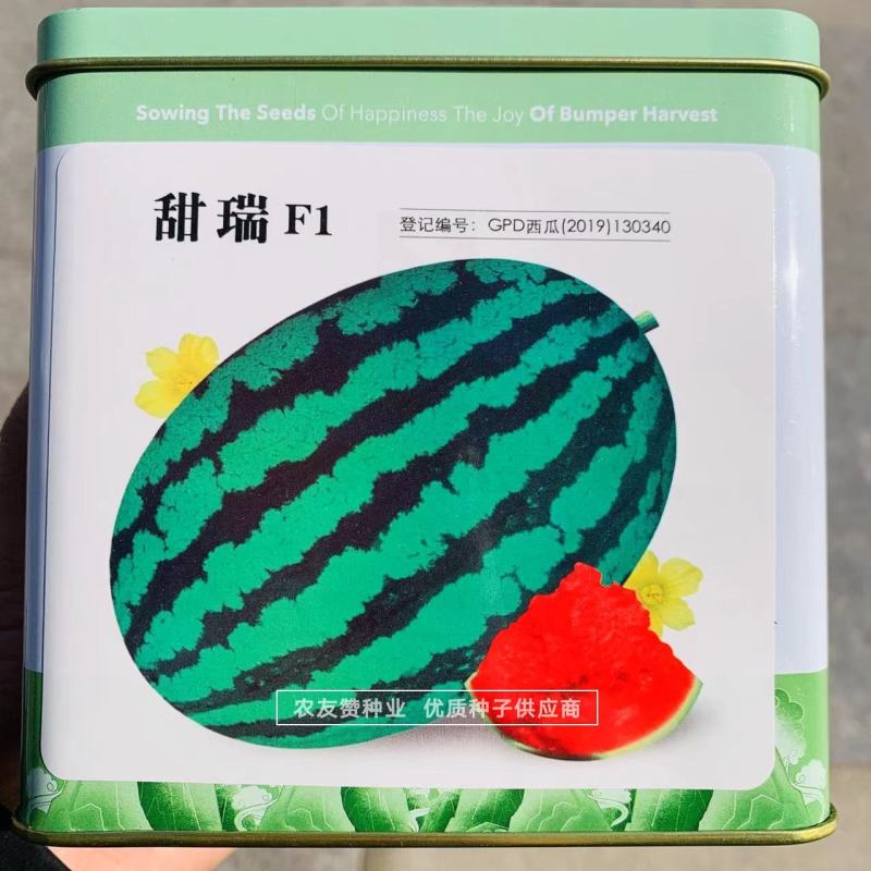 短椭圆形西瓜种子高圆高糖抗病甜王西瓜种子糖度高，抗裂耐运