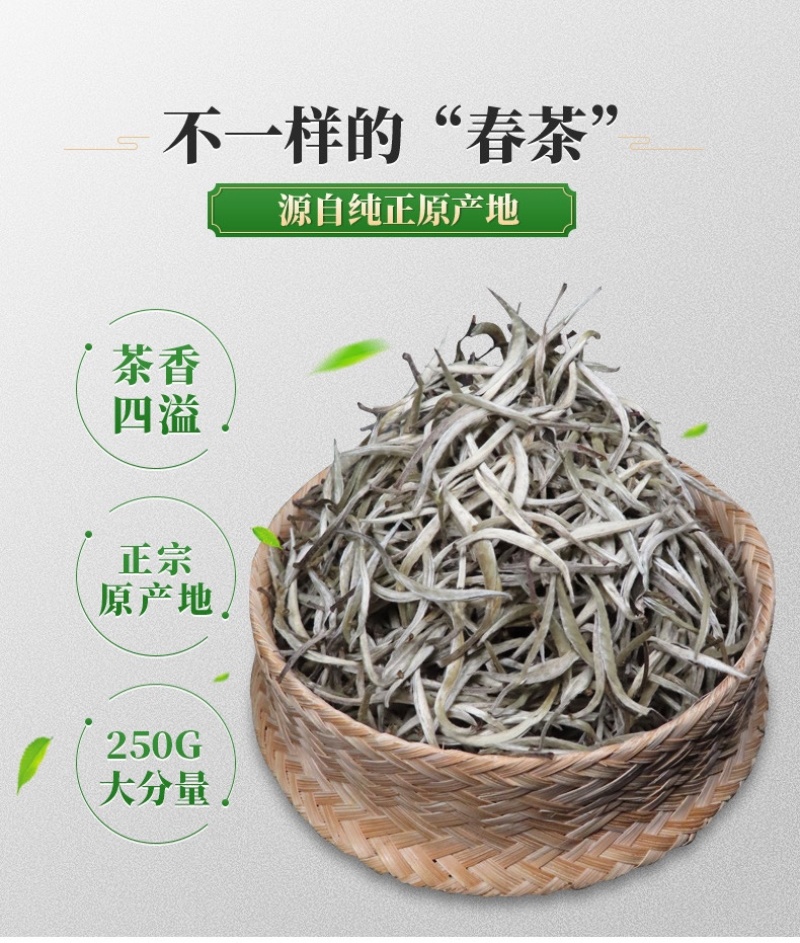 云南普洱茶白茶云南白芽月光白东方美人大白豪