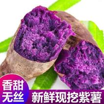 紫罗兰紫薯，香甜软糯，大量现货上市，全国可发