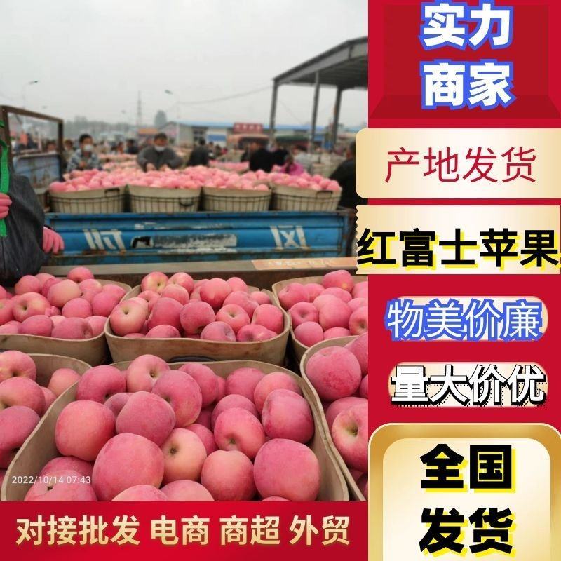 (苹果)山东红富士苹果80mm以上纸袋膜袋货源充足