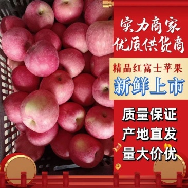 山东冷库红富士苹果大量出库，条纹片红批发货源充足