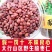【野生酸枣仁】太行山酸枣仁可赠送酸枣辨别真伪包邮