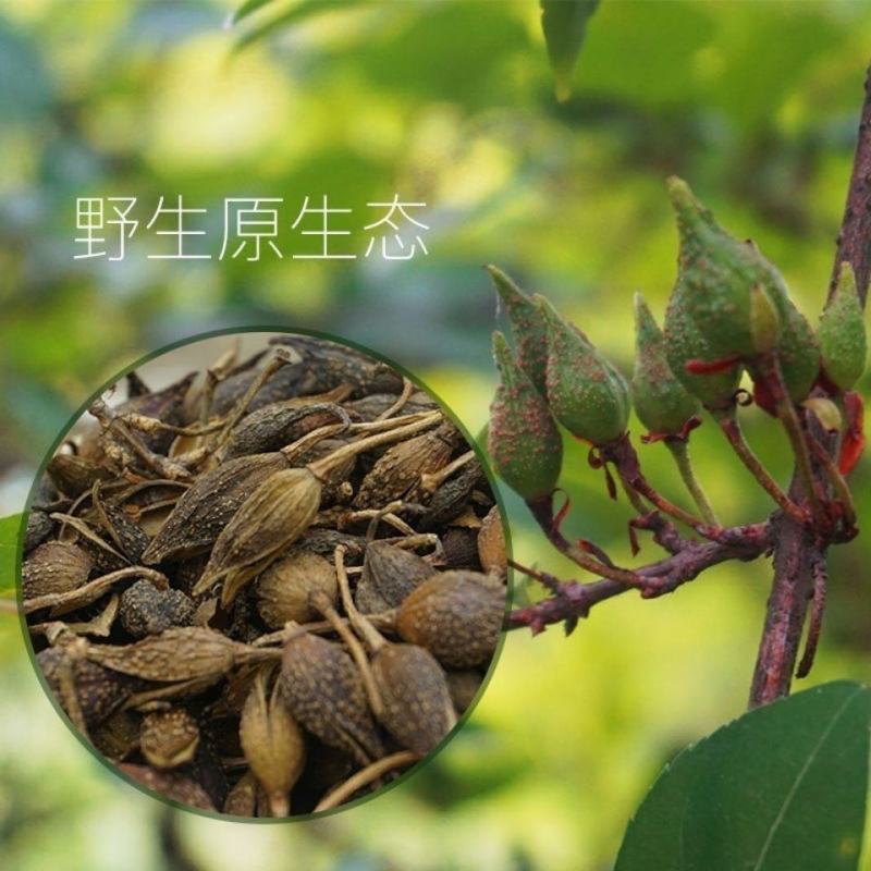 中药特级连翘正品连莞壳茶中药材新鲜干货野生连翅中药材