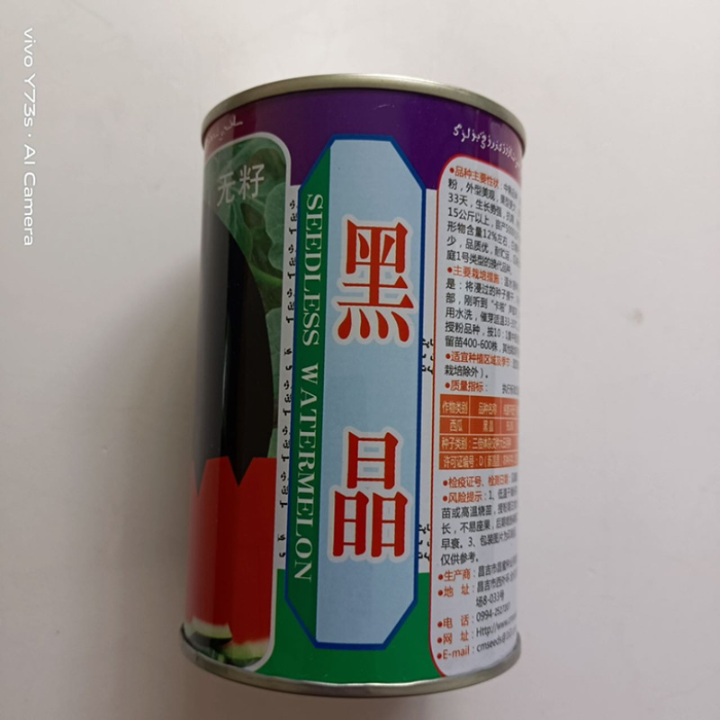西瓜种子，黑皮品种一代杂交品种无籽西瓜种子大田专用种子