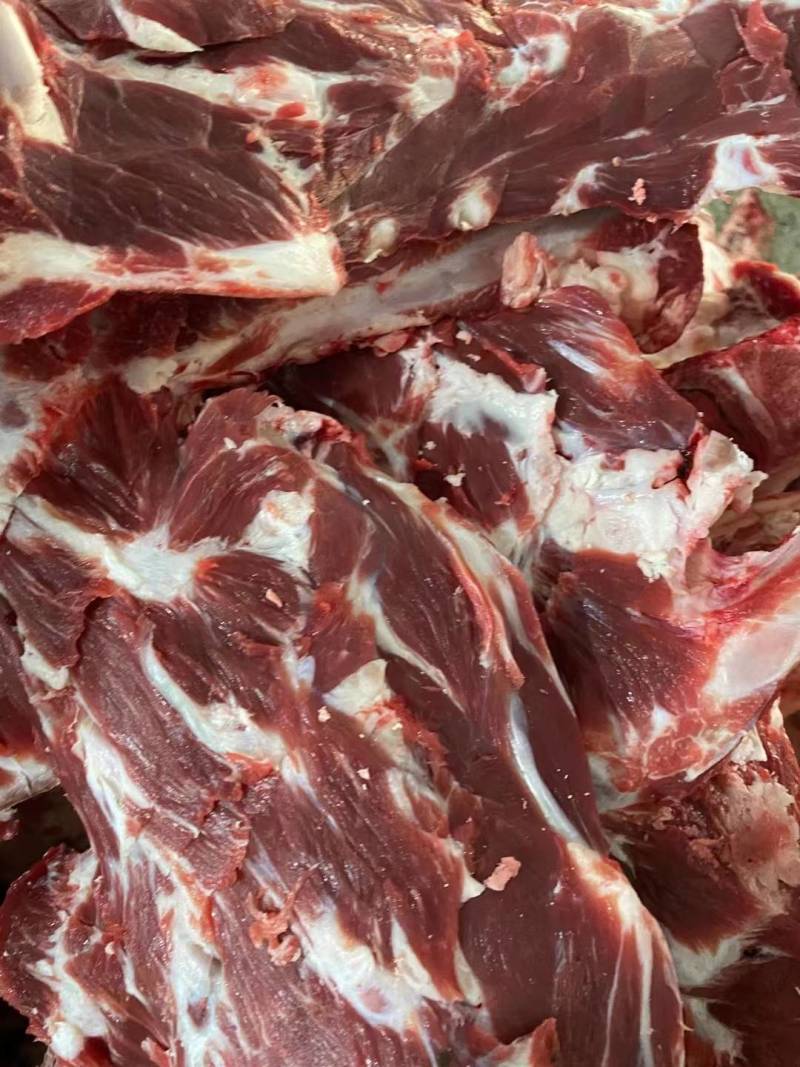 精品牛脊骨厂家直发全牛含脖骨上脑骨眼肉骨欢迎咨询