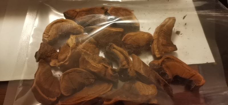 原产地纯桑枝桑黄，桑黄成品干货质量保证量大从优欢迎来电