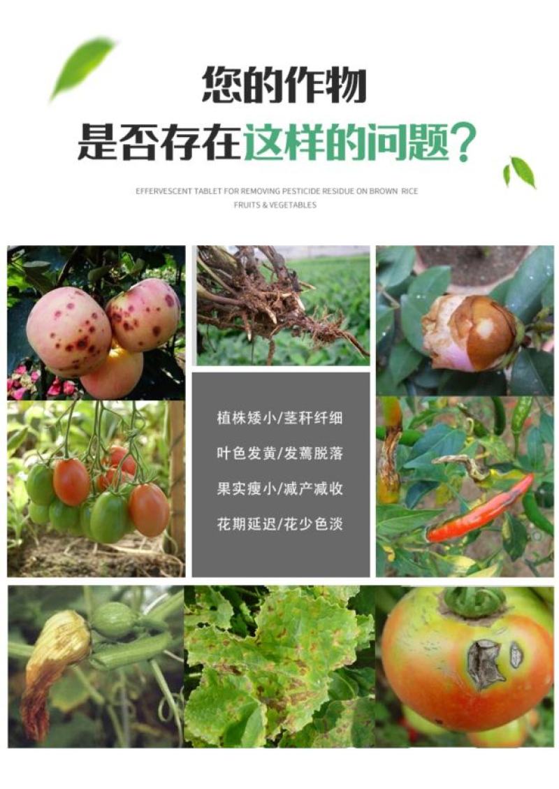 微量元素水溶肥的使用花期前后：喷施可快速激发花粉活性