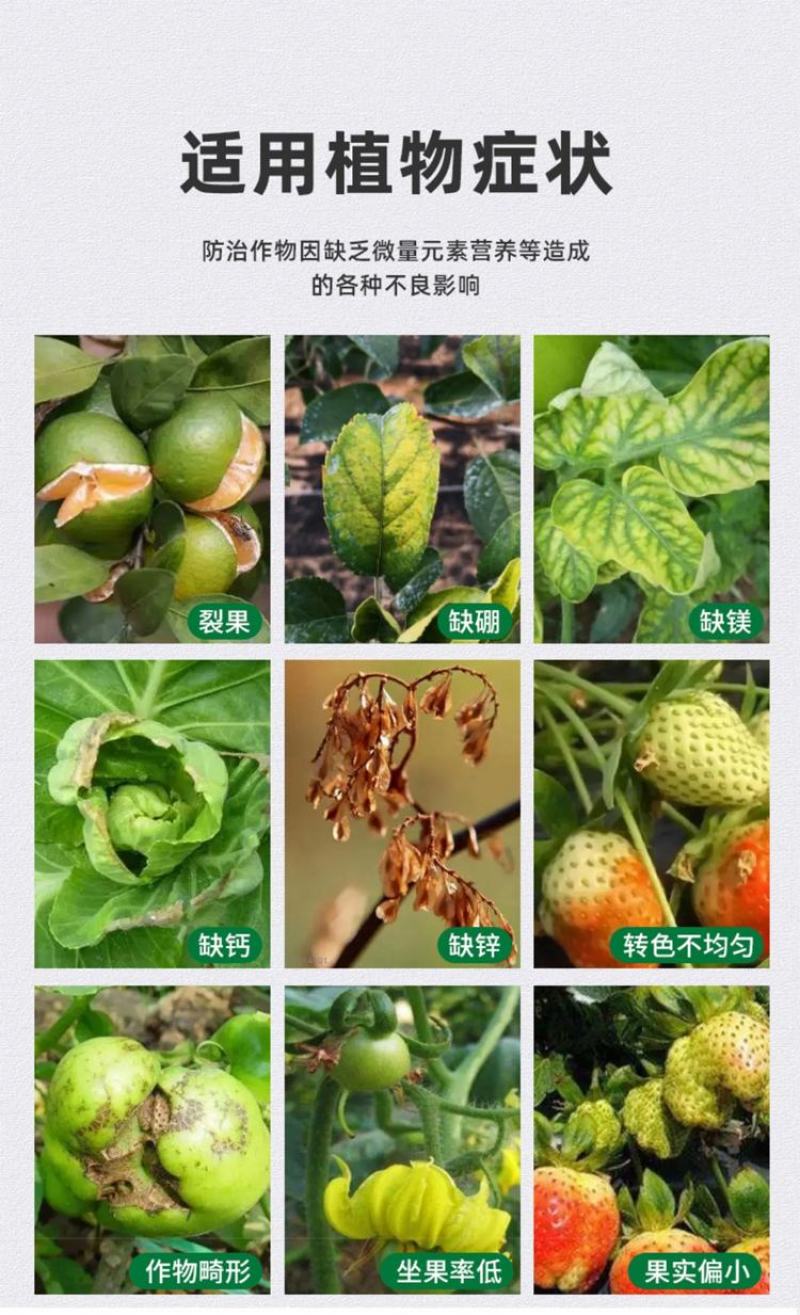 微量元素水溶肥的使用花期前后：喷施可快速激发花粉活性