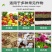 微量元素水溶肥的使用花期前后：喷施可快速激发花粉活性
