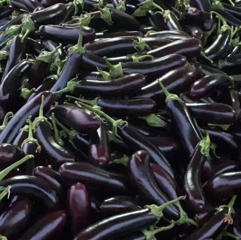 烧烤茄