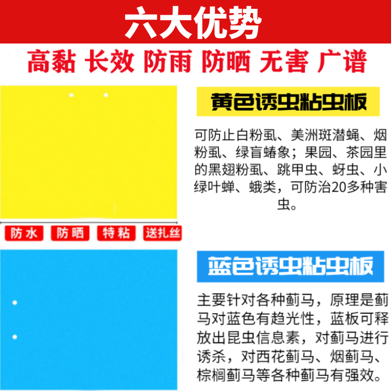 双面大棚粘虫板飞虫贴果园黏虫黄板灭小黑虫沾果蝇蓟马蓝板诱