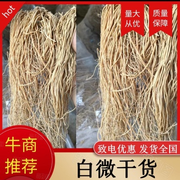 多年白薇精品干货保质保量，含量足干净度好药厂货。饮片货
