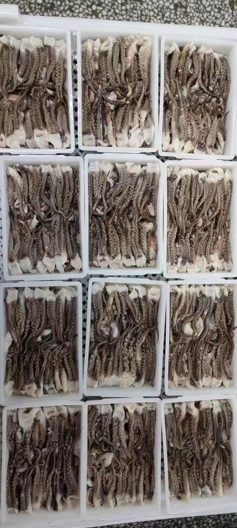 鱿鱼须二足本500g/盘欢迎进店咨询选购