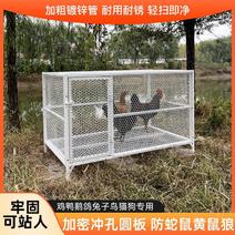 鸡笼子特大号兔子笼家用鸽子笼养殖笼鸡窝鸭子繁殖加密加厚运