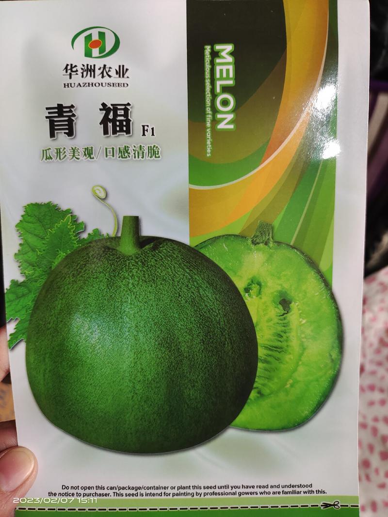 绿宝甜瓜种子日本甜宝早熟薄皮抗病性强口感好