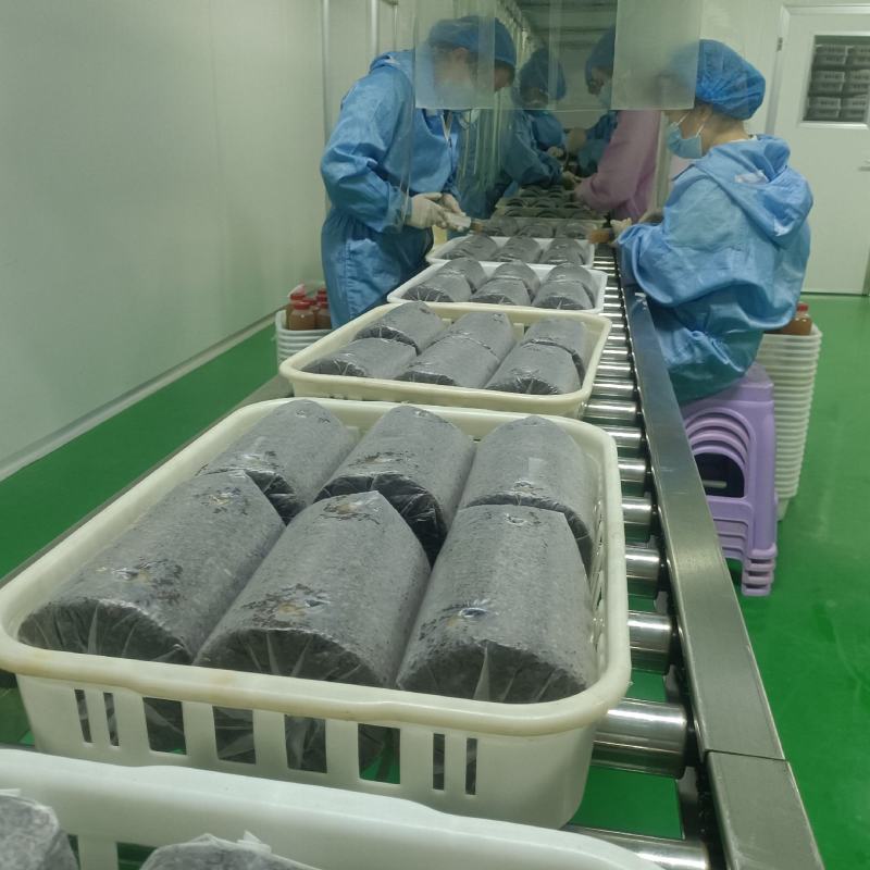 金耳菌种