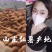 山东红薯产地价格行情西瓜红大量现货直销全国品质保证
