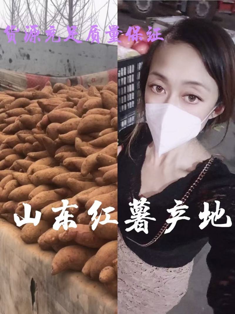 山东红薯产地价格行情西瓜红大量现货直销全国品质保证