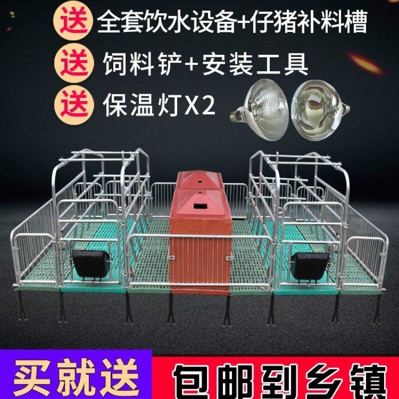 双体母猪产床保育床一体产保两用床产房养猪用产床产保单体分