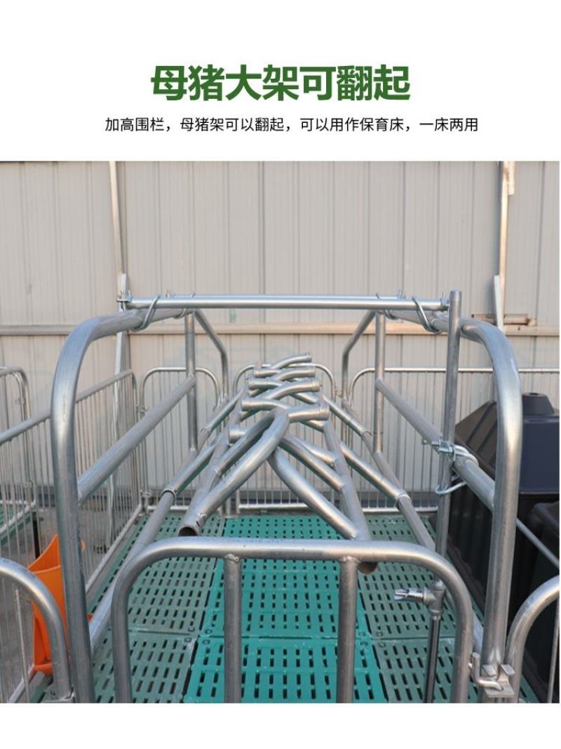 双体母猪产床保育床一体产保两用床产房养猪用产床产保单体分