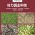 家用3吨铡草揉丝机小型养殖户养牛，养羊铡草机，两相电使用