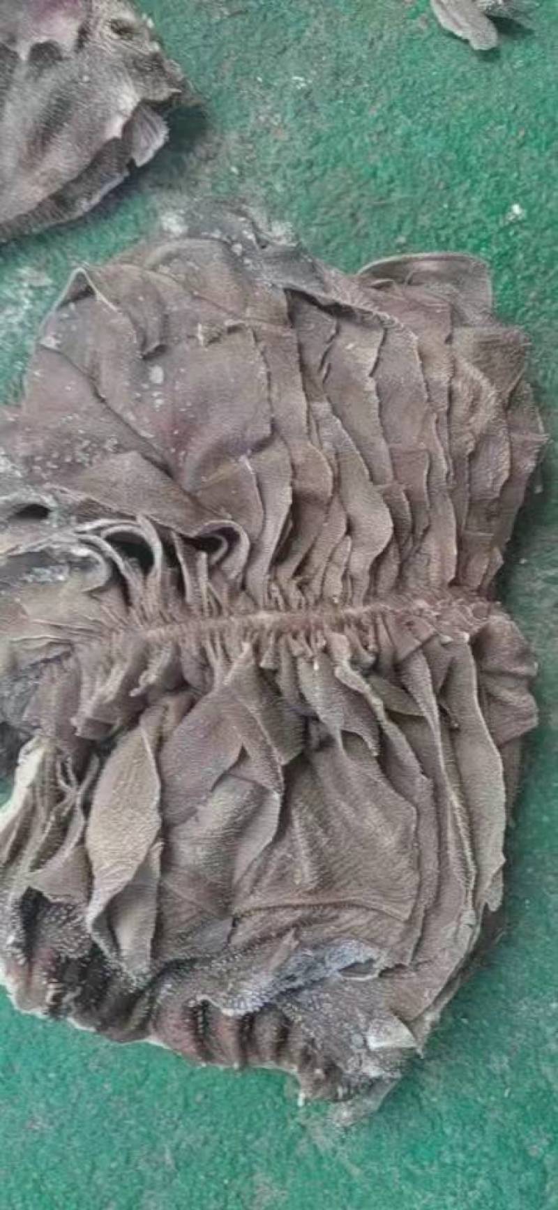 牛百叶，鲜冻牛百叶，大叶片，不掉毛，抄码
