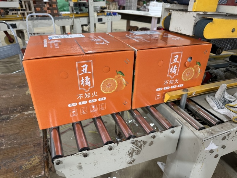 正宗眉山丹棱丑橘不知火上市啦【全国一件代发】诚招微电商