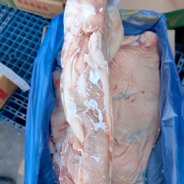 肥猪前后上肉