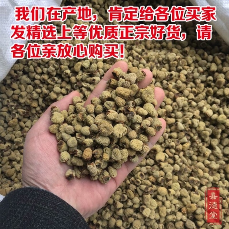 覆盆子正宗浙江掌叶覆盆子产地直供大货供应
