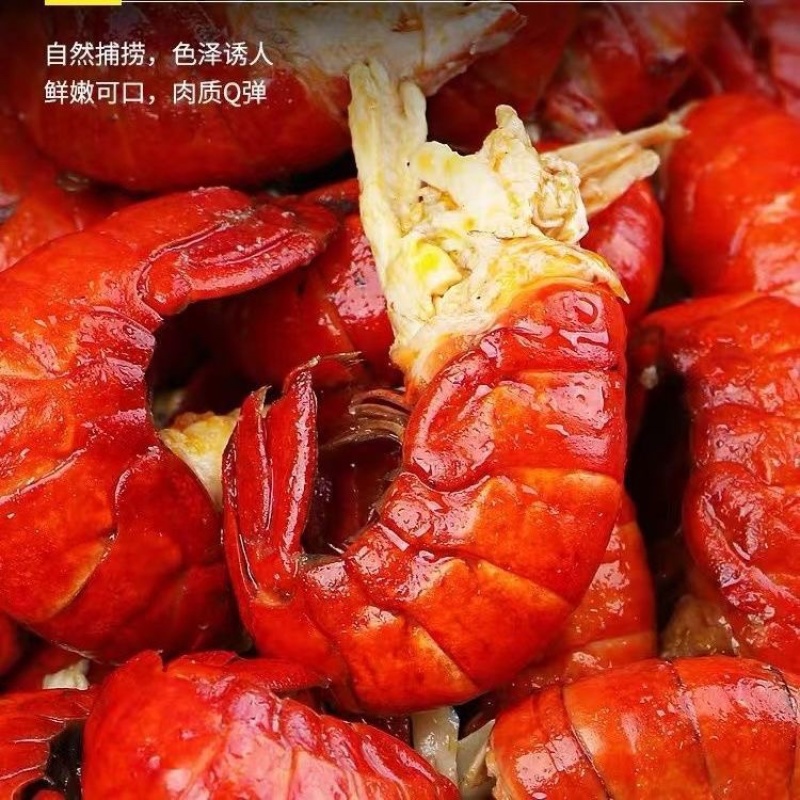 一级小龙虾尾现剥活无冰衣速冻支持一件代发