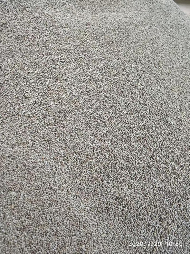 【紫苏籽】紫苏子产地直发可视频看货以质伦价欢迎咨询